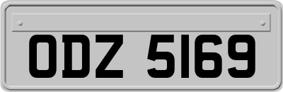ODZ5169