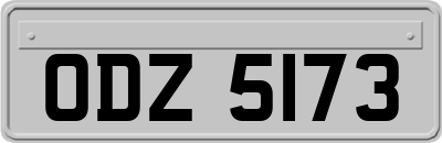 ODZ5173