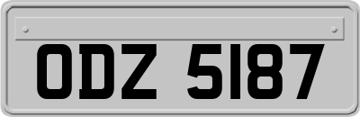 ODZ5187