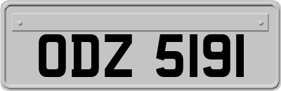 ODZ5191