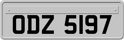 ODZ5197