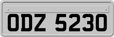 ODZ5230