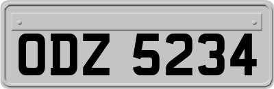 ODZ5234