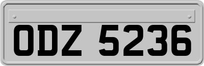 ODZ5236