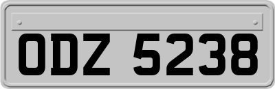 ODZ5238