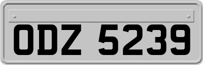 ODZ5239