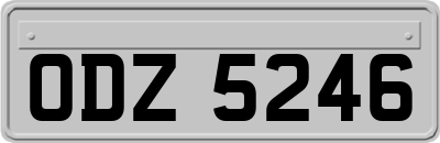 ODZ5246