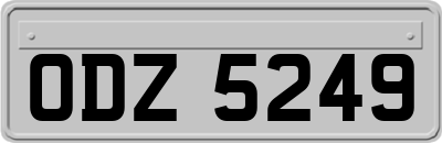 ODZ5249