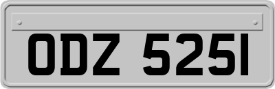 ODZ5251