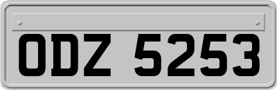 ODZ5253