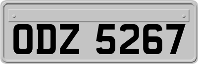 ODZ5267