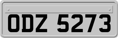 ODZ5273