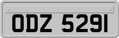 ODZ5291