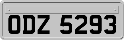 ODZ5293