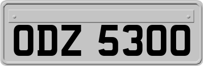 ODZ5300