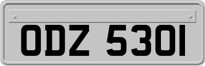 ODZ5301