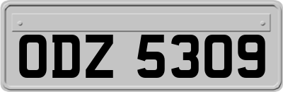 ODZ5309