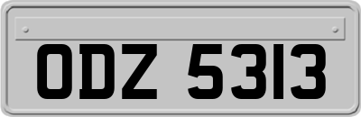 ODZ5313