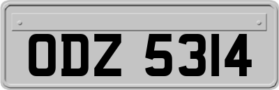 ODZ5314