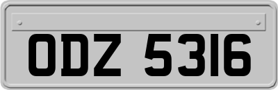 ODZ5316