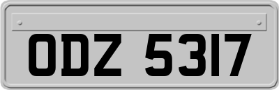 ODZ5317