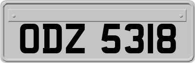 ODZ5318