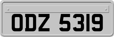 ODZ5319