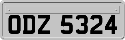 ODZ5324