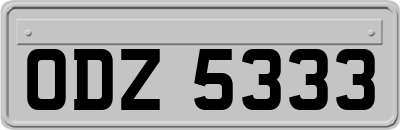 ODZ5333