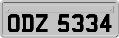 ODZ5334