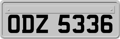 ODZ5336