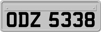 ODZ5338