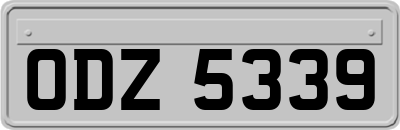 ODZ5339