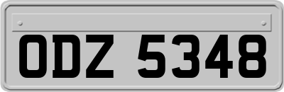 ODZ5348