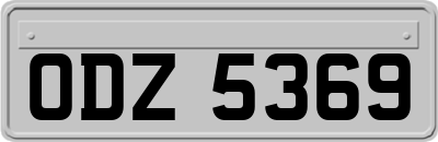 ODZ5369