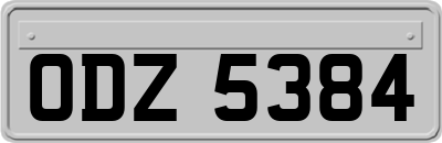 ODZ5384