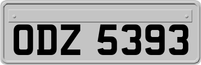 ODZ5393