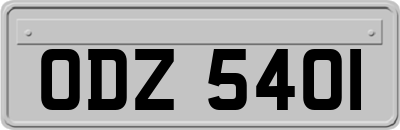 ODZ5401