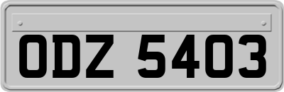ODZ5403