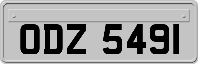 ODZ5491