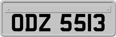ODZ5513