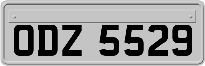 ODZ5529
