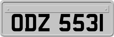 ODZ5531