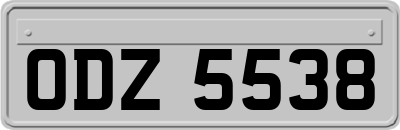 ODZ5538