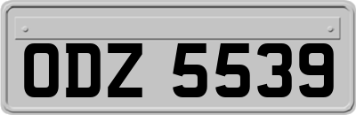 ODZ5539