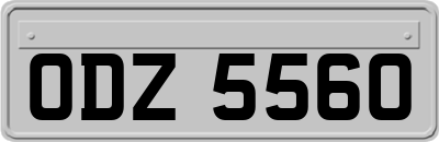 ODZ5560
