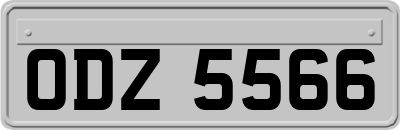 ODZ5566