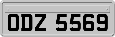 ODZ5569