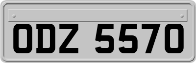 ODZ5570
