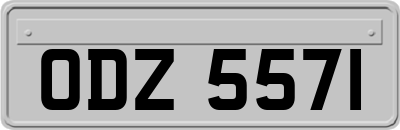 ODZ5571